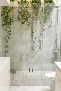 clear shower stall